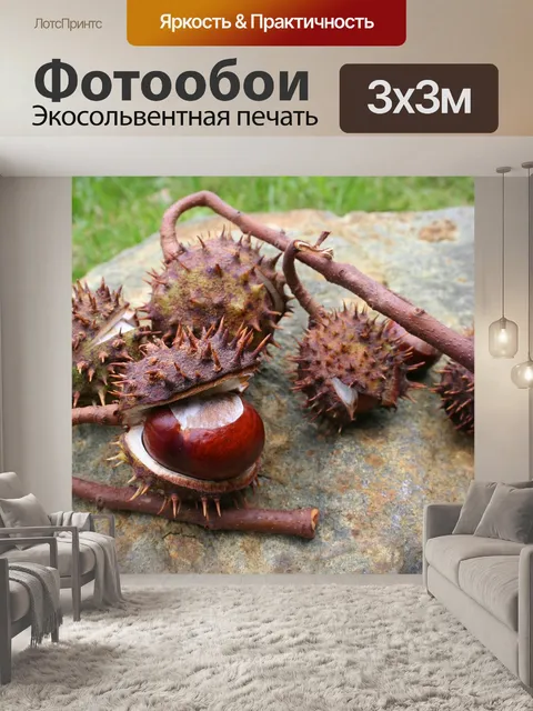 Фотообои Каштаны