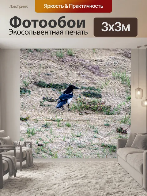 Фотообои черная сорока