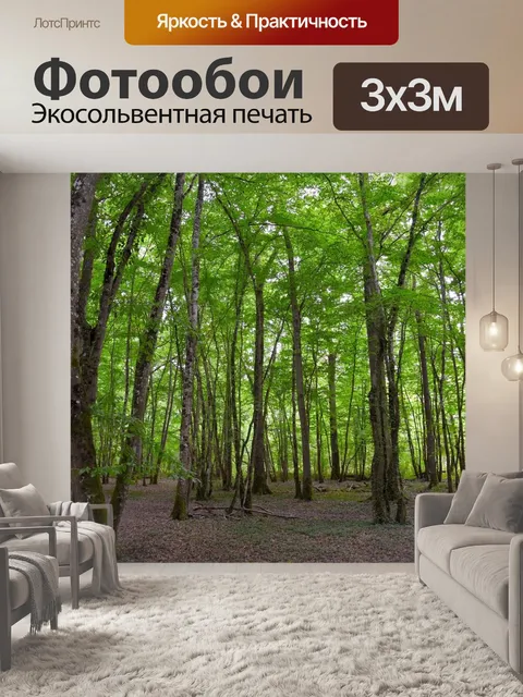 Фотообои Лес