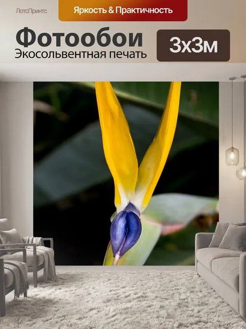 Фотообои Райская птица цветок