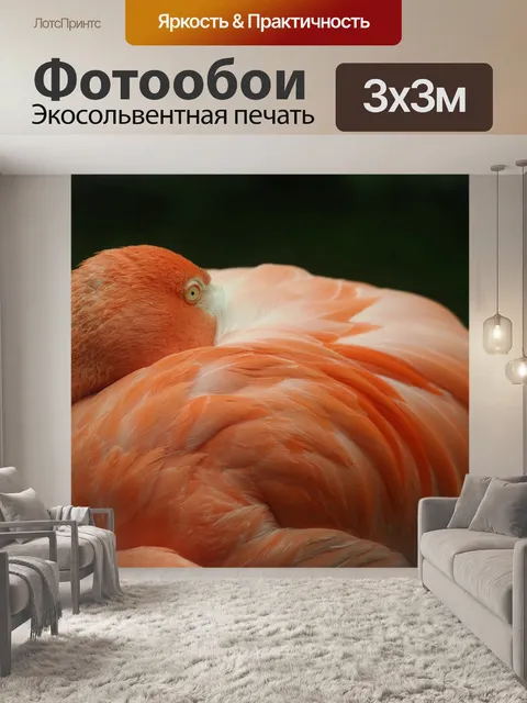 Фотообои Фламинго