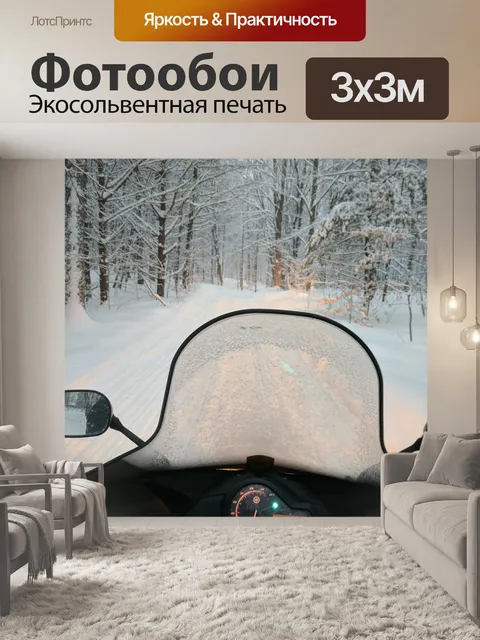 Фотообои Катание на снегоходах