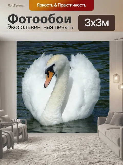 Фотообои Красивый лебедь