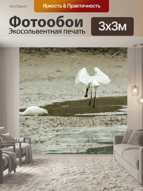Фотообои Аист