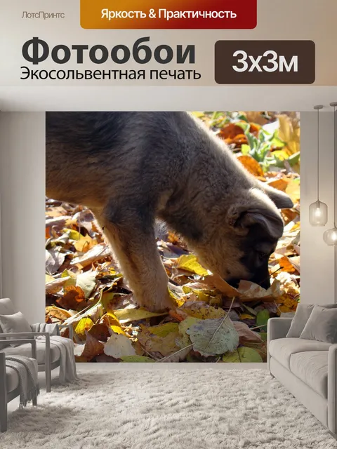 Фотообои Щенок