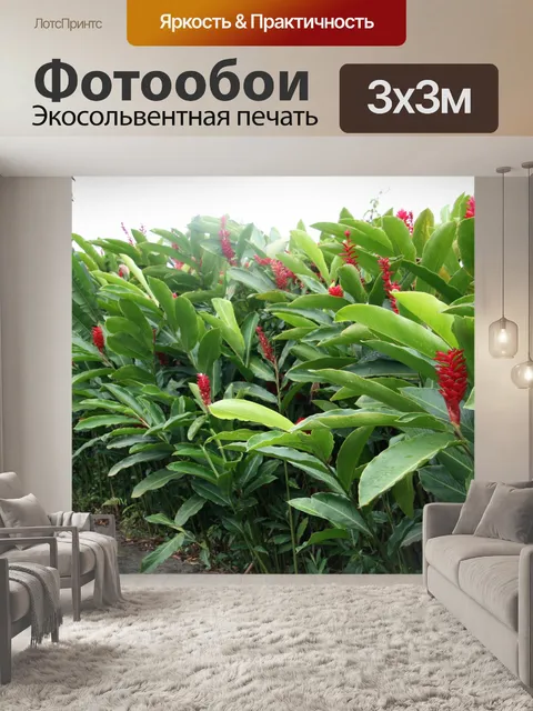 Фотообои Коста-Рика Цветы