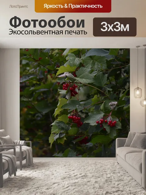 Фотообои Маленькие красные ягоды на дереве
