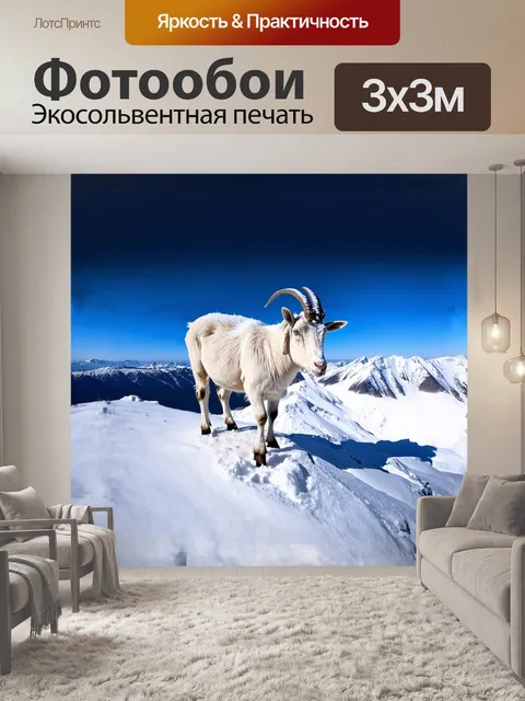 Фотообои козел стоит на снежной вершине горы