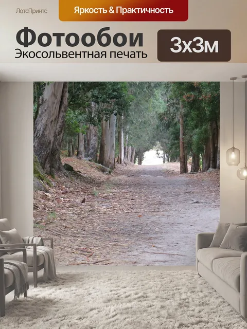 Фотообои Путь