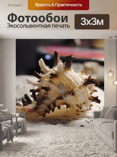 Фотообои Ракушка