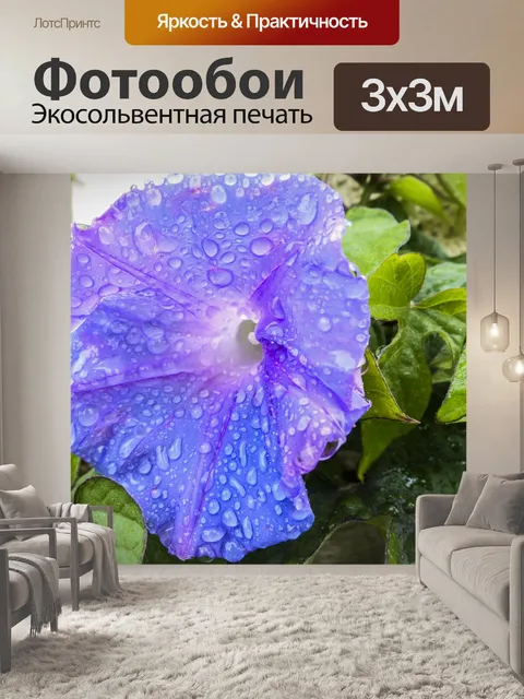 Фотообои Дождь на анютины глазки