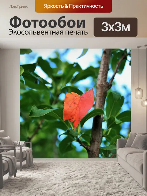 Фотообои осенние подходы