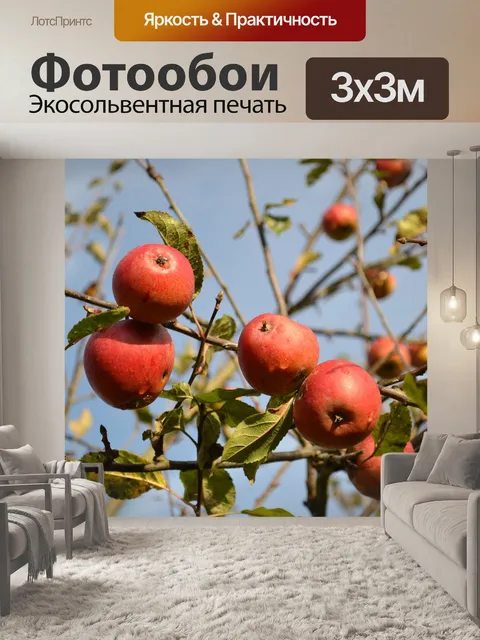 Фотообои Яблоки