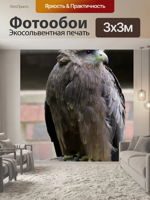 Фотообои Змей с желтым клювом