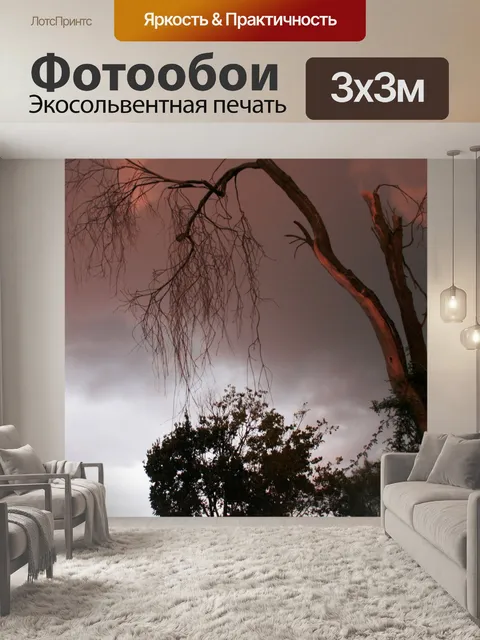 Фотообои краснея небо