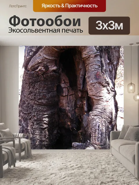 Фотообои большое поражение на стороне дерева