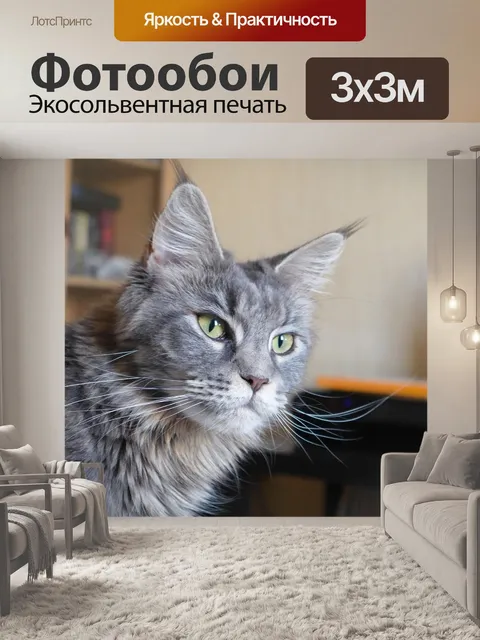 Фотообои Мейн-кун