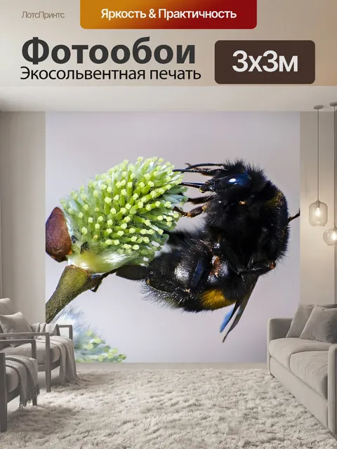 Фотообои Каменный шмель