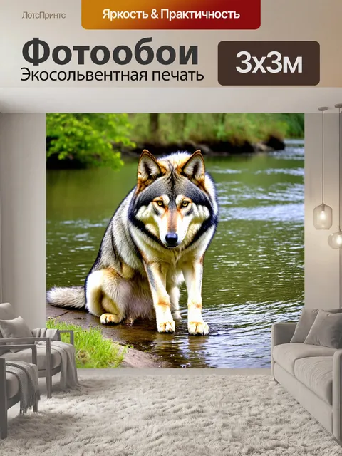Фотообои волчица, сидящая у реки и пьющая воду