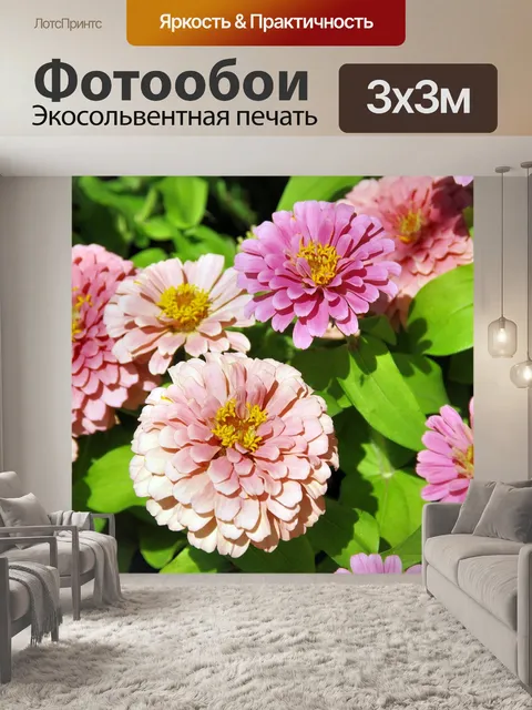 Фотообои Экзотический цветок
