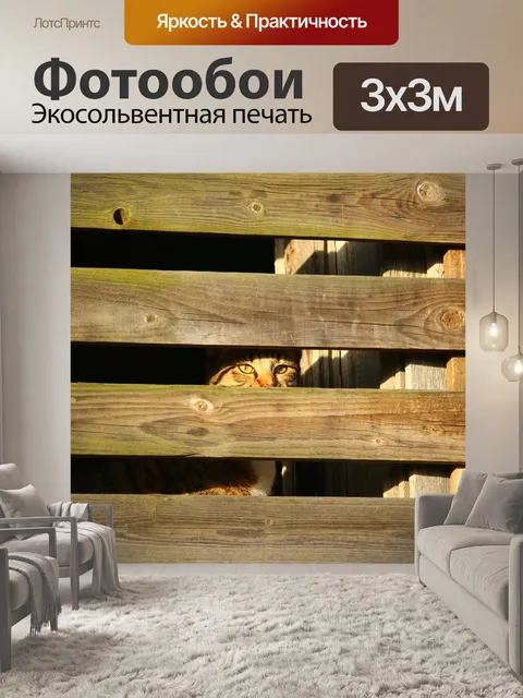 Фотообои Кот