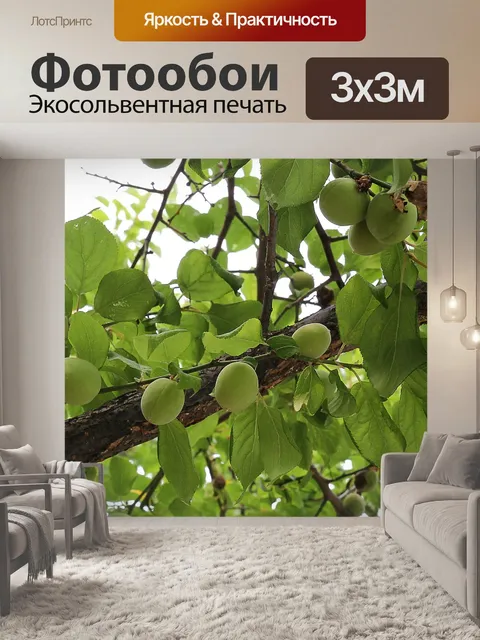 Фотообои Слива