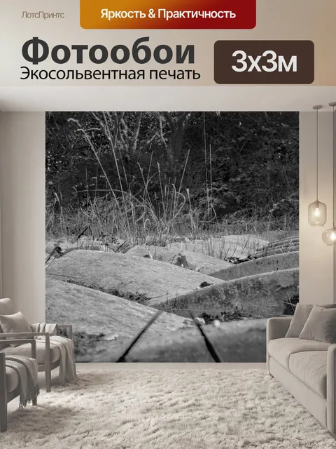 Фотообои Конкретный