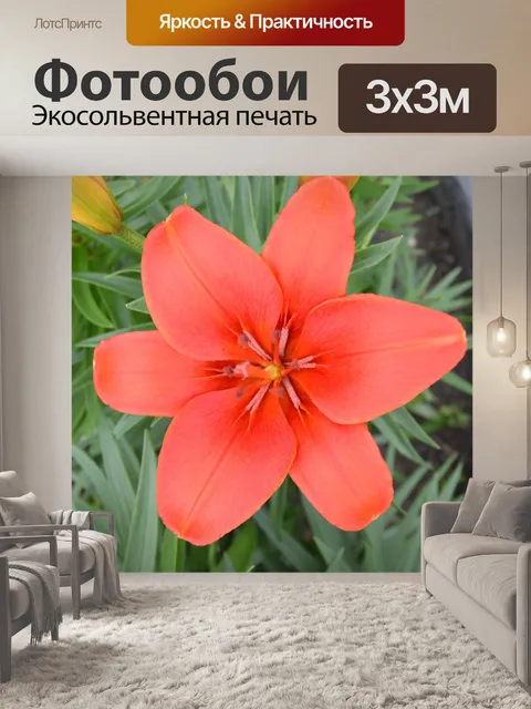 Фотообои Красный