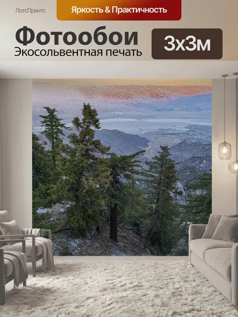 Фотообои Палм-Спрингс, Калифорния