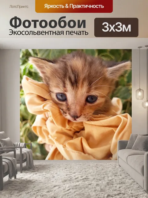 Фотообои Кошка