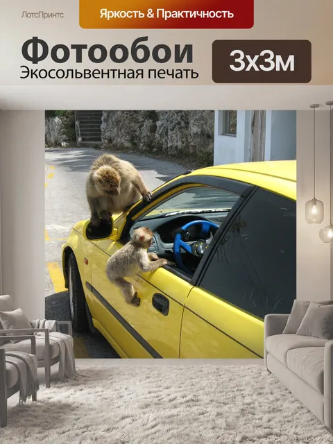 Фотообои Обезьяна