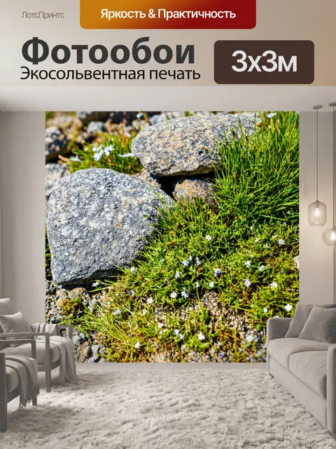 Фотообои текстура скал с травой и мелкими цветами