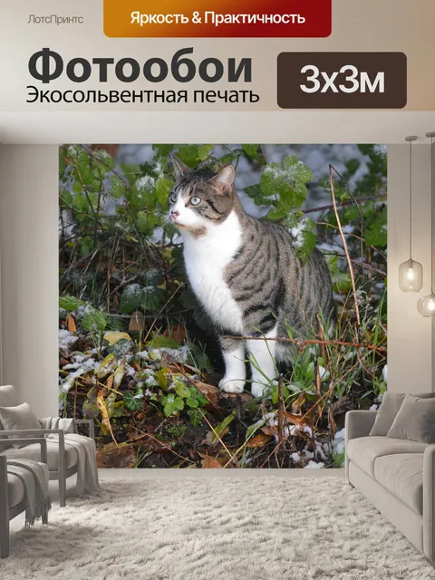 Фотообои Кошка