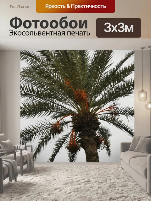 Фотообои Марокко