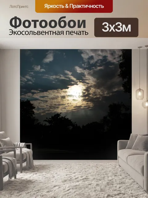 Фотообои Солнечный свет