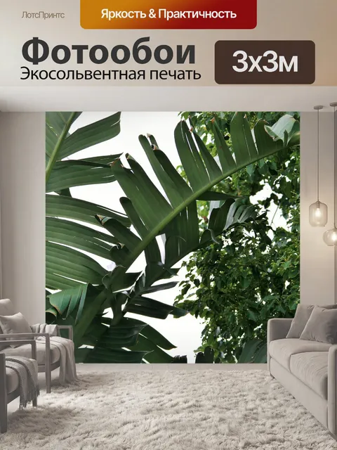 Фотообои Стрелиция листья