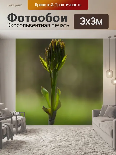 Фотообои Бобок