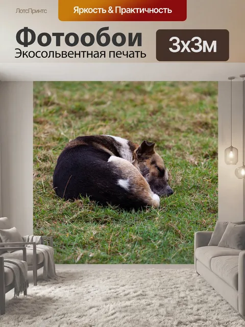 Фотообои Спать
