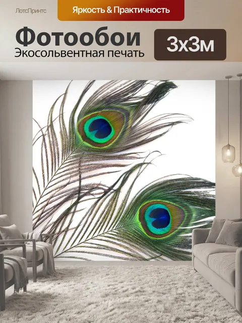 Фотообои 6 перьев павлина