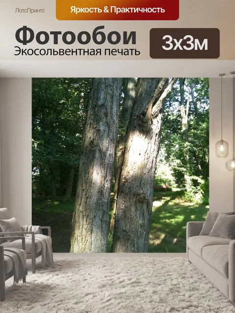 Фотообои Деревья в парке