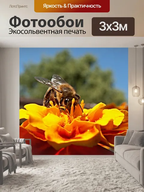 Фотообои Пчела