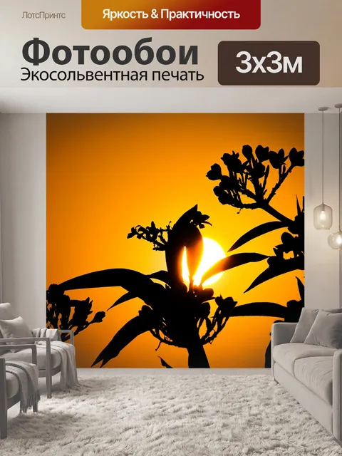 Фотообои Заход солнца