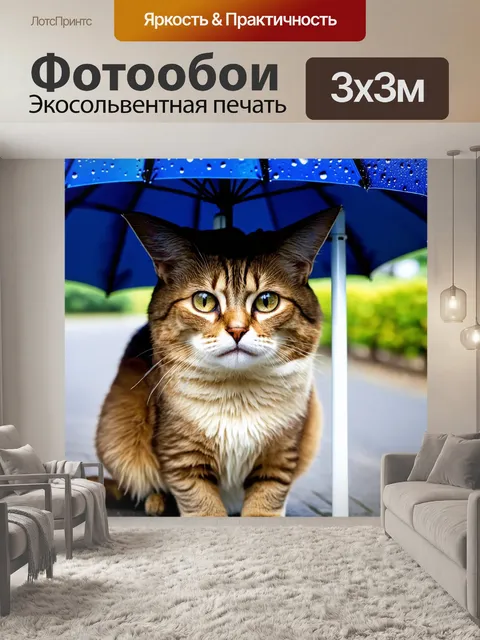 Фотообои кот, защищенный от дождя под зонт