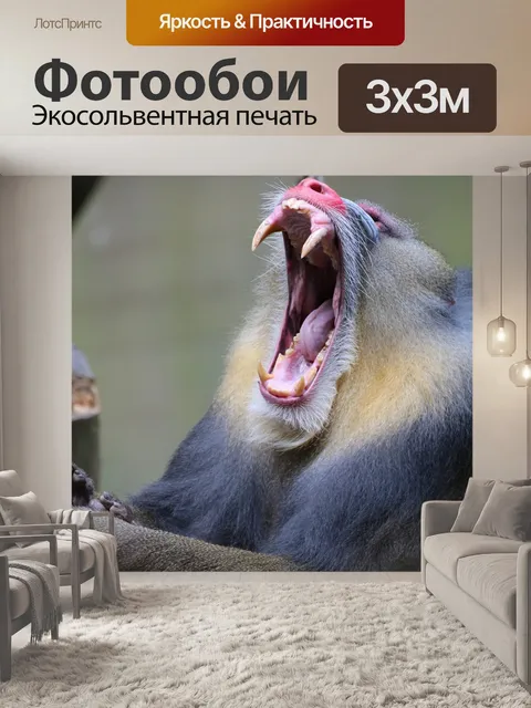 Фотообои Мандрил