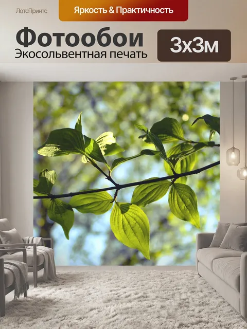 Фотообои Листья