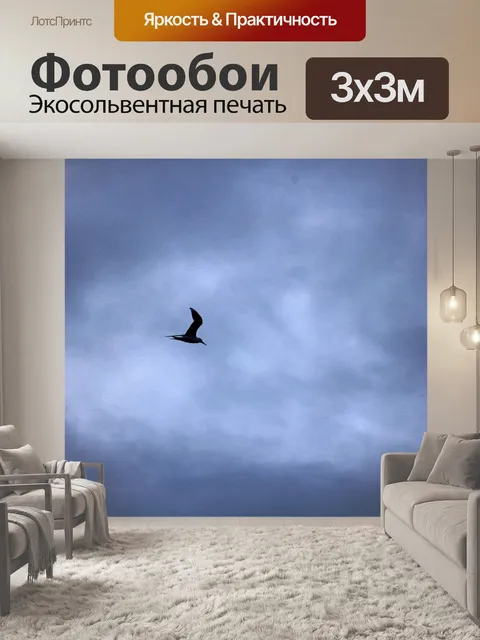 Фотообои летающая крачка на фоне неба