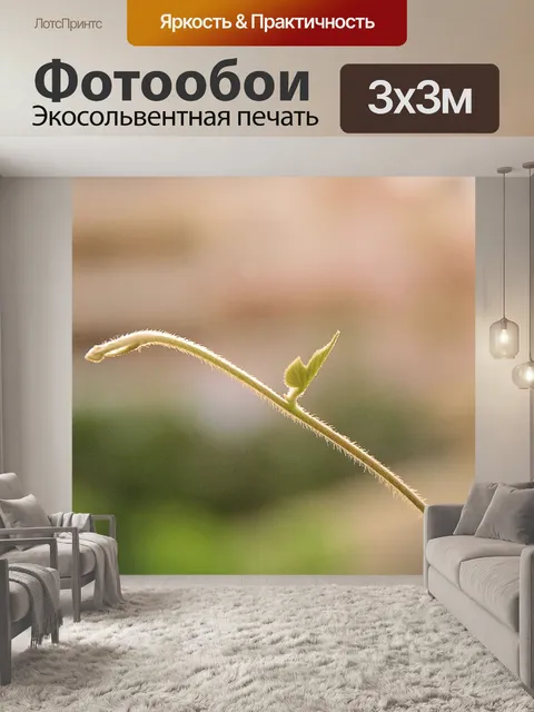 Фотообои Зеленый новый завод против солнечного св