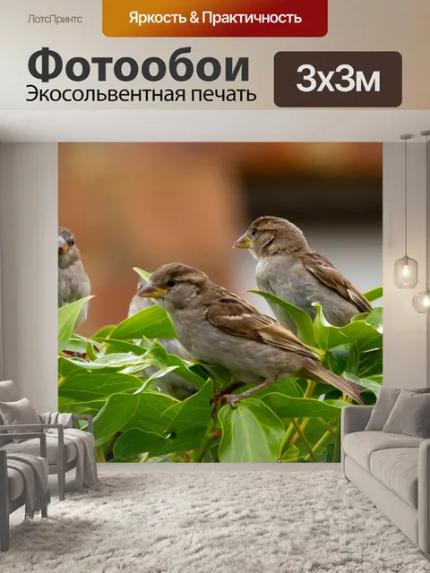 Фотообои Воробей