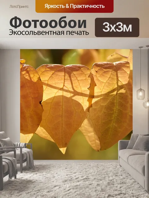 Фотообои Осенние листья