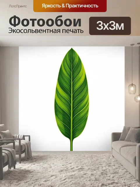 Фотообои Зеленый лист с прожилками